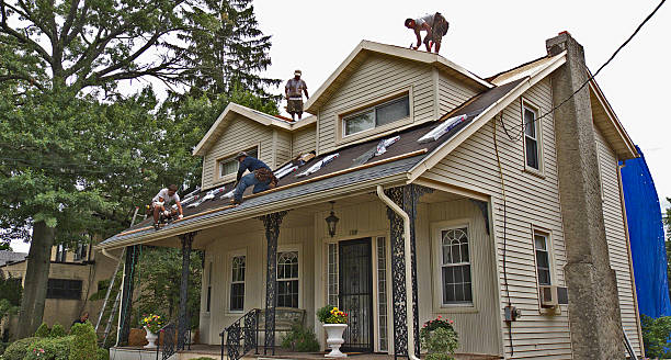 Best Commercial Roof Installation  in Drew, MS